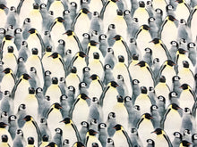 Load image into Gallery viewer, Penguins CD-1695 - White Fabric - 1/2 Meter - Cotton Fabric
