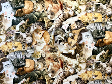 Load image into Gallery viewer, Cuddling Cats - Timeless Treasures - Multi Fabric - 1/2 Meter - Cotton Fabric
