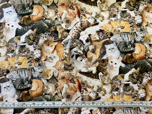 Cuddling Cats - Timeless Treasures - Multi Fabric - 1/2 Meter - Cotton Fabric