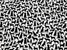 Charger l&#39;image dans la galerie, Dogs C-8921 - White Fabric - 1/2 Meter - Cotton Fabric
